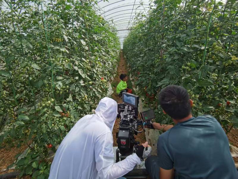 浚县产品宣传视频拍摄公司进阶指南，助力品牌抢占传播高地